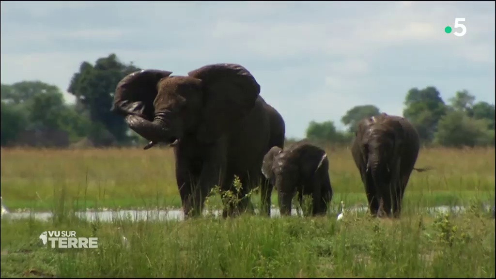 Vu sur Terre - Botswana