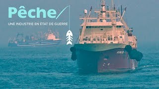 Documentaire Pêche : une industrie en état de guerre