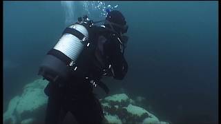 Léopards de mer, le seigneur des glaces