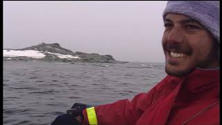 Documentaire Le léopard de mer, seigneur des glaces