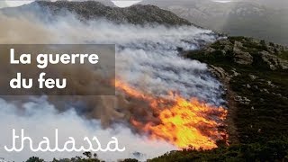 Corse : la guerre du feu