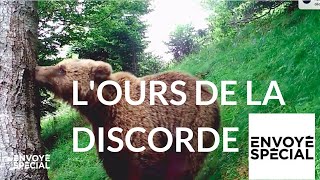 Documentaire L’ours de la discorde