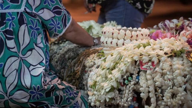 Documentaire Les fleurs de Maiarii