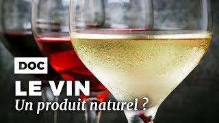 Documentaire Le vin est-il toujours un produit naturel ?