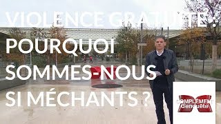 Documentaire Violence gratuite : pourquoi sommes-nous si méchants ?