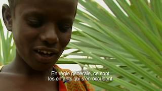 Enfants des déserts – Ali, enfant des Allols