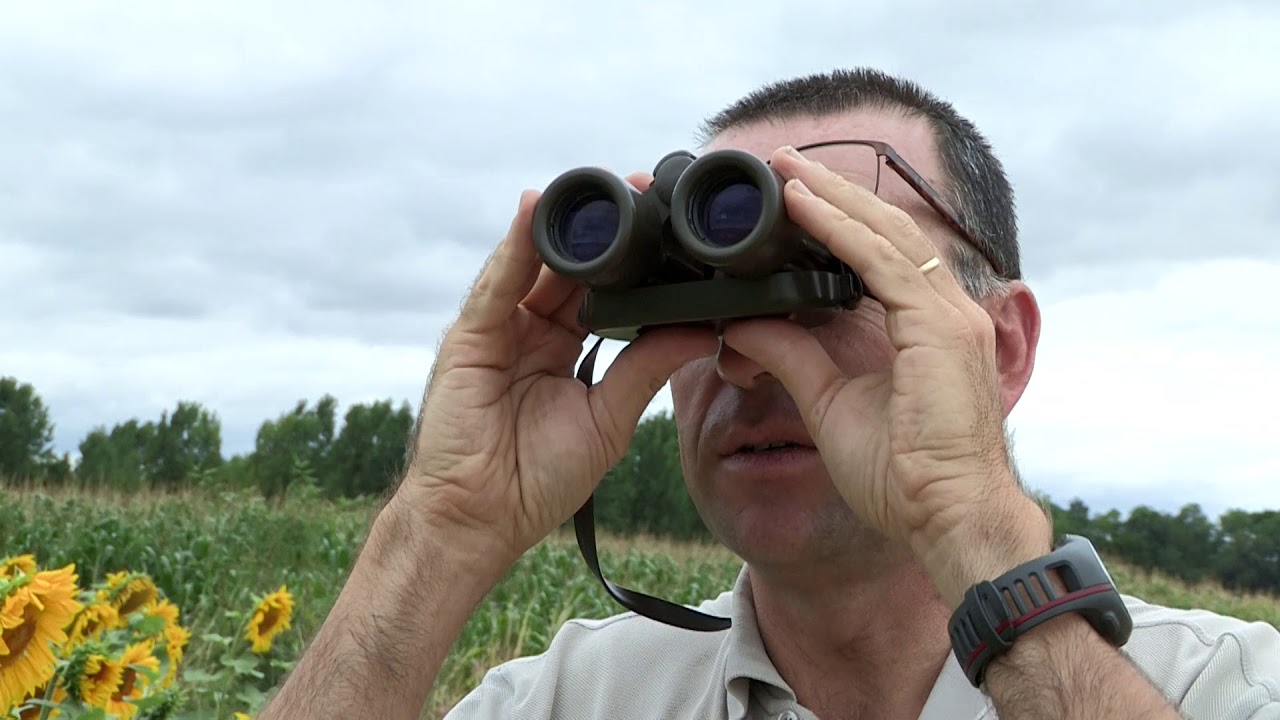 Documentaire Enquête sur le trafic d’animaux