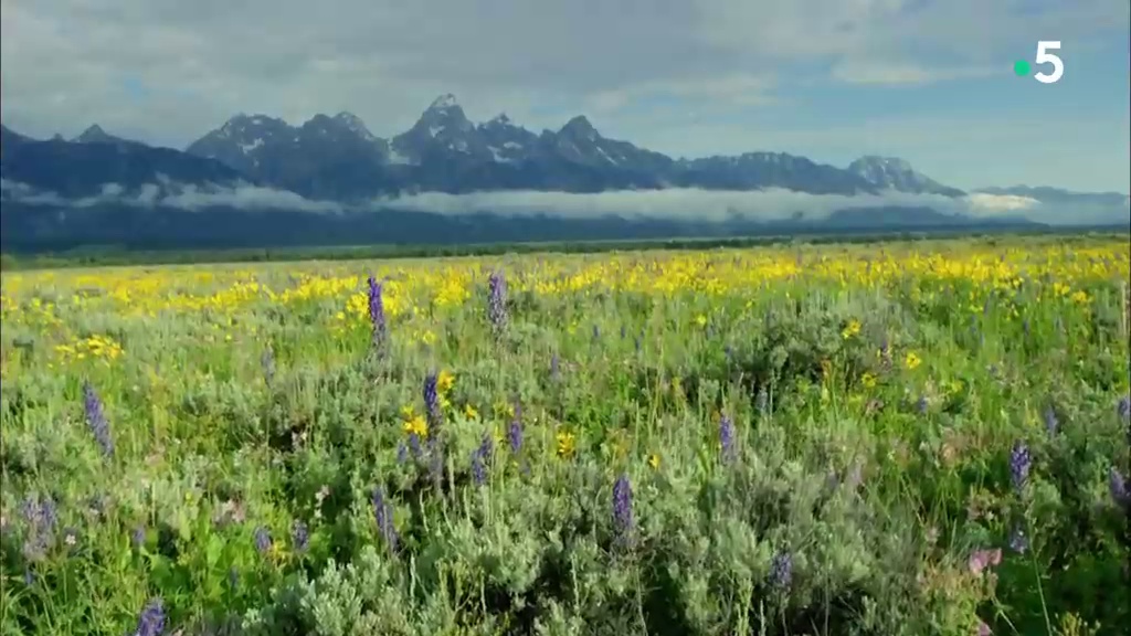 Documentaire L’Ouest américain : dans les montagnes