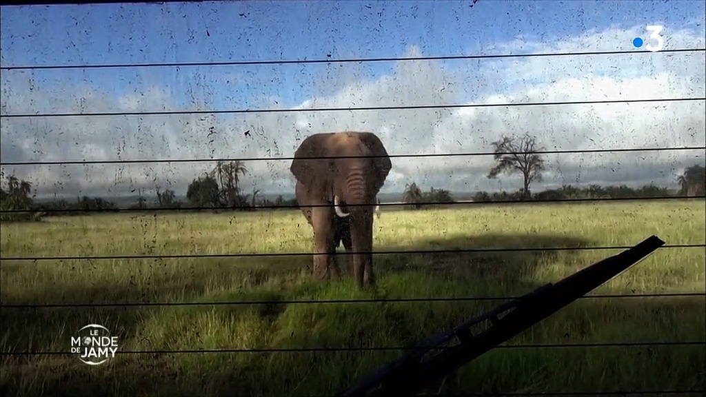 Documentaire Le monde de Jamy – Vivre avec la faune sauvage