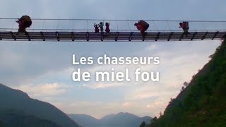 Les chasseurs de miel fou