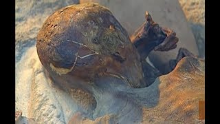 Documentaire L’Égypte antique au-delà des pyramides – Les momies & les cryptes (1/2)