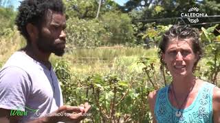 Documentaire Un jardin où tout pousse