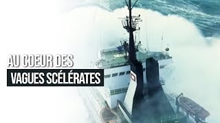 Au coeur des vagues scélérates