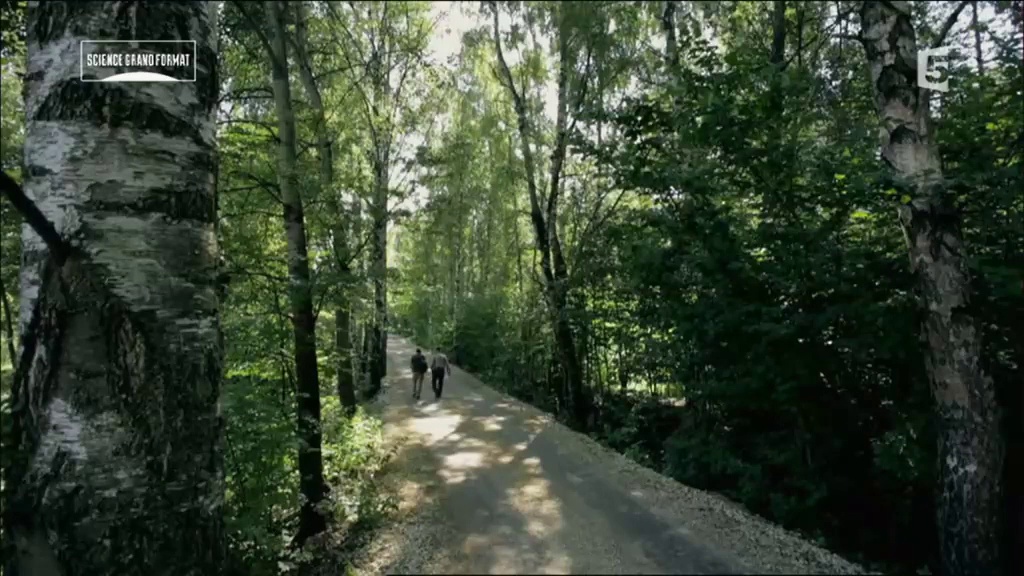 Dossiers bigfoot : l'almasty de Russie