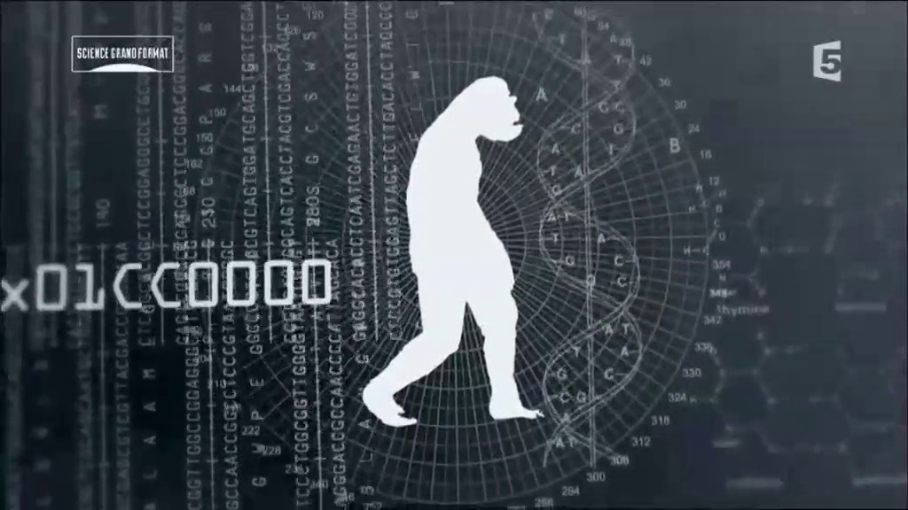 Dossiers bigfoot : le sasquatch des États-Unis