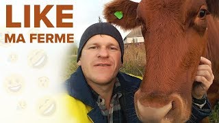 Documentaire Like ma ferme