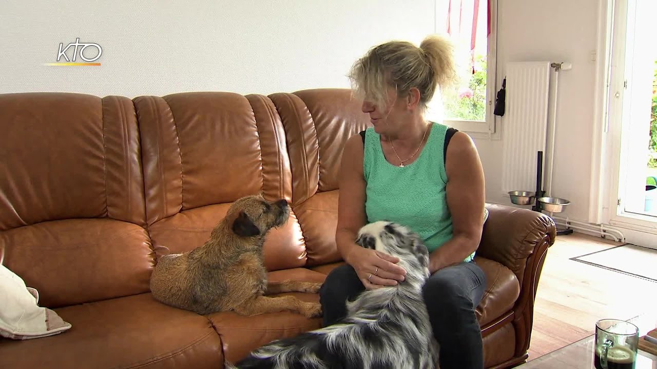 Nos frères les animaux