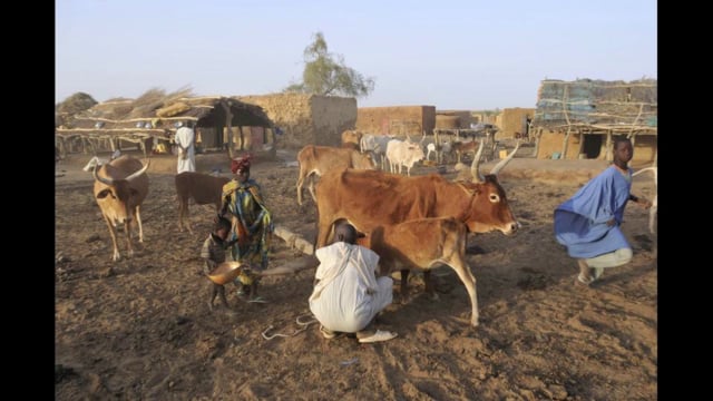Sécurisation de la production agropastorale en Mauritanie