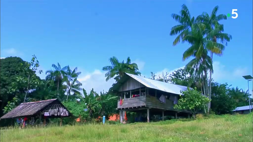 Documentaire Terre des Mondes – la Guyane