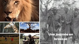 Documentaire Une journée en brousse – Kenya, le Maasaï Mara