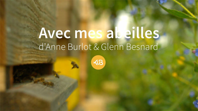 avec-mes-abeilles-documentaire