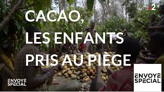 Cacao : les enfants pris au piège