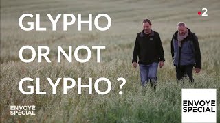 Documentaire Glypho or not glypho ?