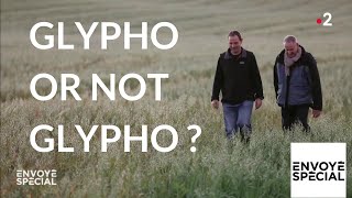 Glypho or not glypho ?