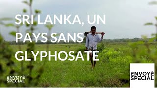 Documentaire Sri Lanka, un pays sans glyphosate