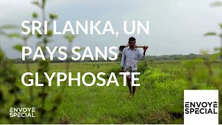 Sri Lanka, un pays sans glyphosate