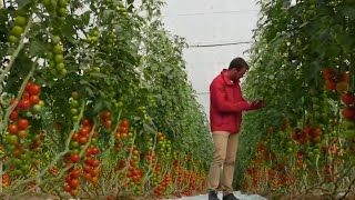 Documentaire Comment éviter les pesticides dans nos assiettes ?