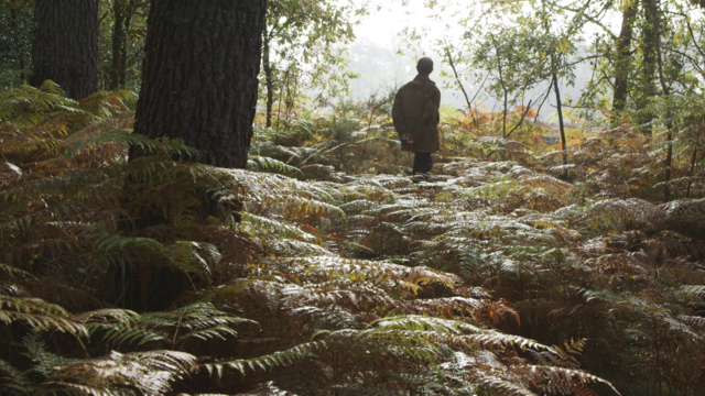 La forêt retrouvée