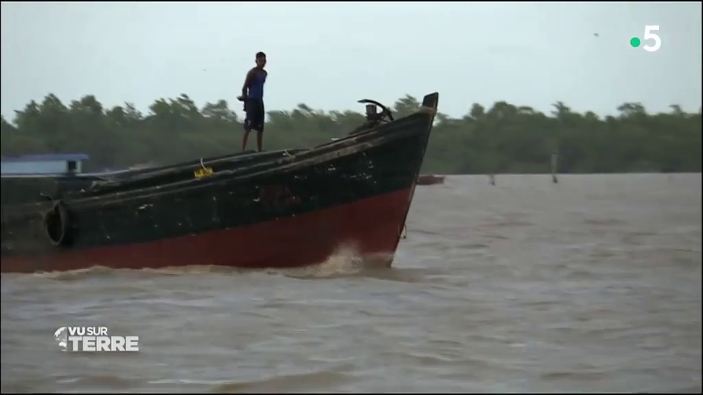 Vu sur Terre - Suriname