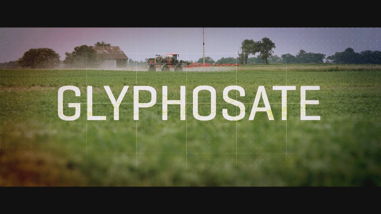 La piste canadienne des Monsanto Papers