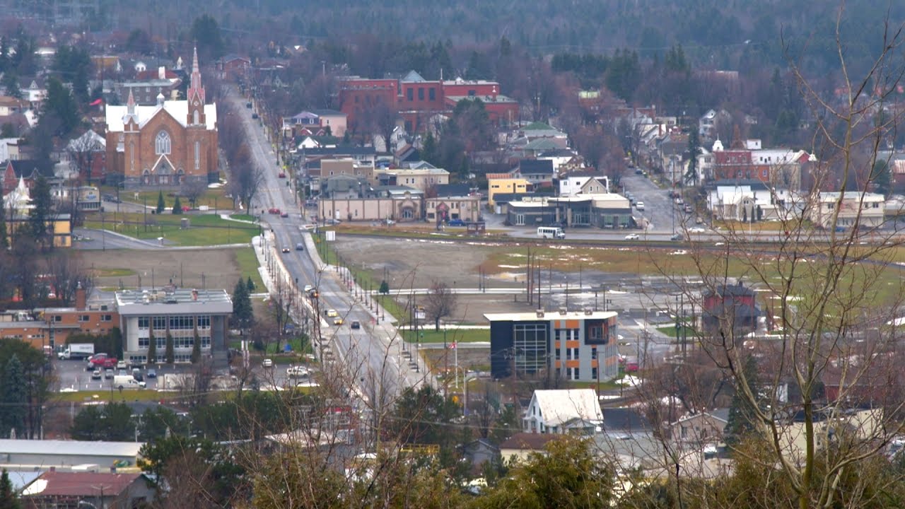 Le vautour de Lac-Mégantic