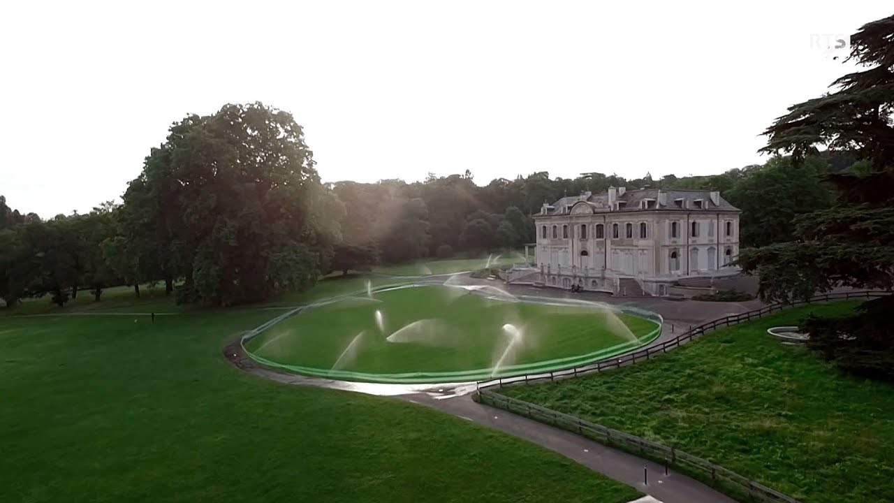 La forêt en ville ou la vie intime du plus grand parc public de Genève