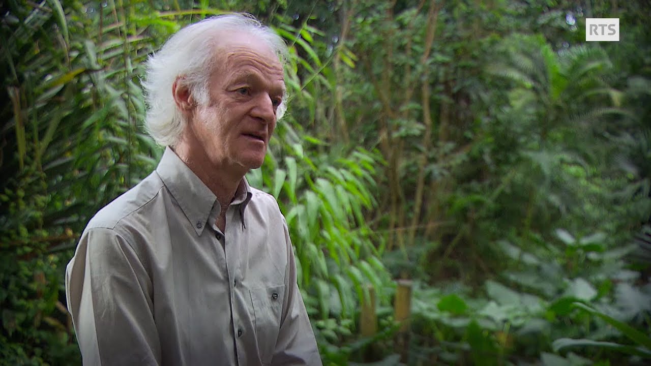 Documentaire L’appel aux arbres ou les liens mystérieux qui unissent l’arbre et l’homme