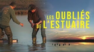 Documentaire Médoc : les oubliés de l’estuaire