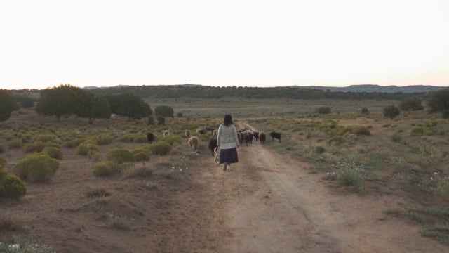 Documentaire Retour en terre sacrée