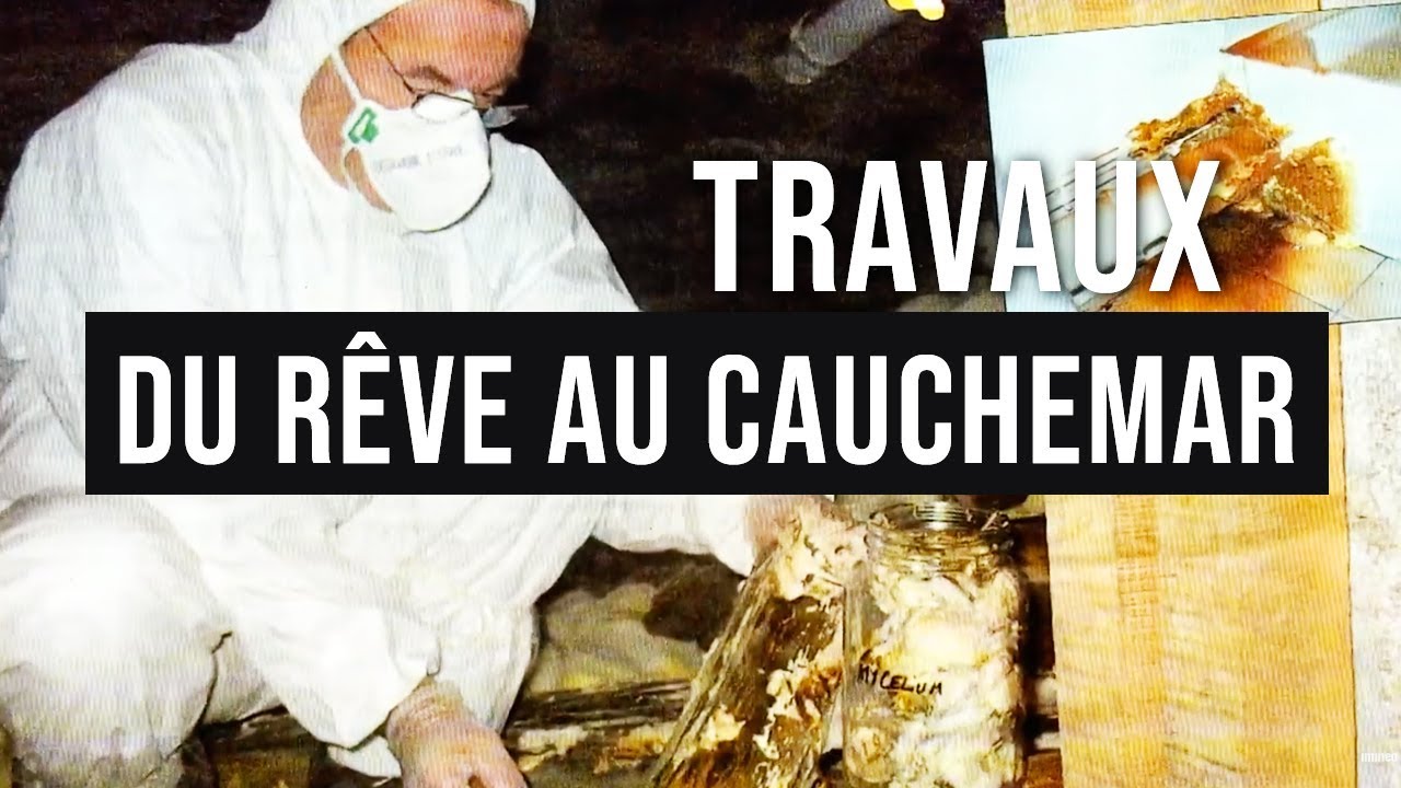 Documentaire Travaux à domicile : du rêve au cauchemars !