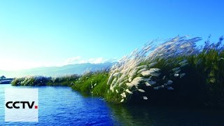 Yingjiang : vivre comme les Lisu