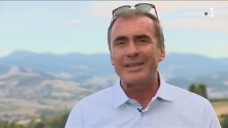 Chroniques d’en haut – Nos amis les bêtes