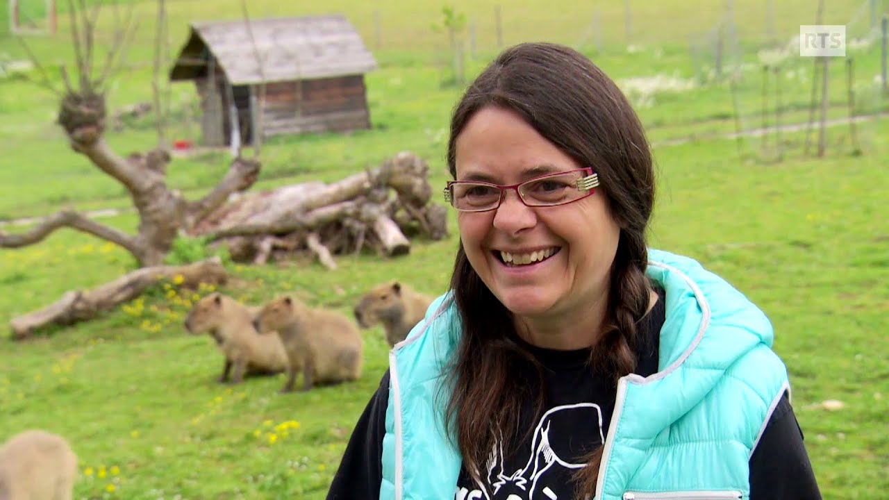 La ferme des animaux ou la générosité d’une paysanne qui recueille plus de 30 espèces d’animaux