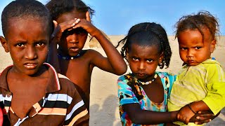 Les enfants du désert - Ali, enfant des Allols