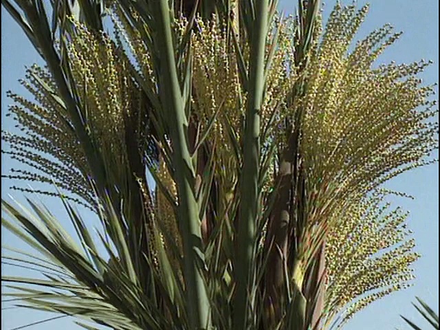 Maroc : 3 randonnées