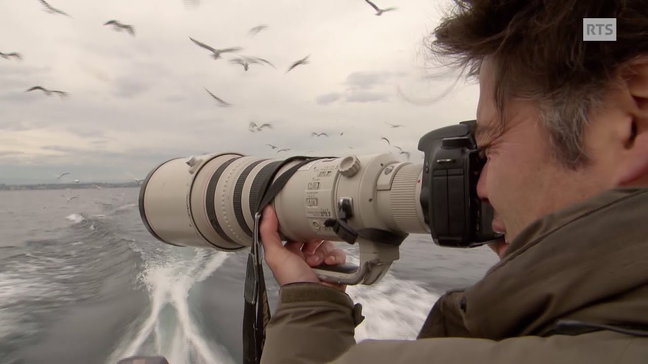 Où sont passés les oiseaux ou la passion dévorante de deux ornithologues