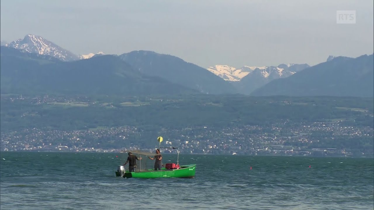 Documentaire Pauv’pêcheur, le quotidien d’une cabane de pêcheur du lac Léman et ses habitants