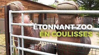 Documentaire Zoo de PAL : dans les coulisses du zoo le plus étonnant de France
