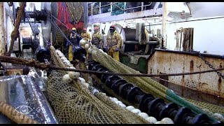 Documentaire À bord d’un chalutier en haute mer