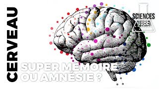 Cerveaux : super mémoire ou amnésie ?